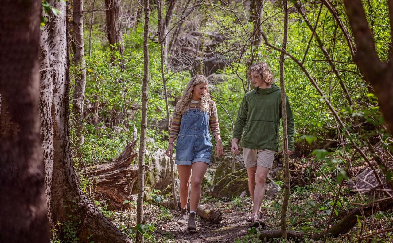 Ernie Cabin Wauhatchie Woodlands Tiny Cabin チャタヌーガ エクステリア 写真